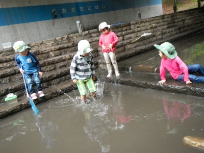 DSCN8457.JPG