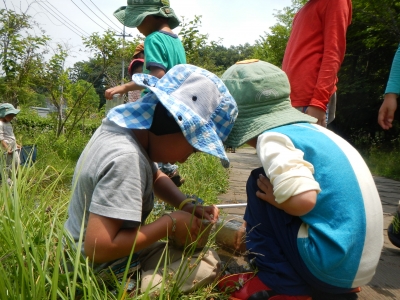 DSCN8379.JPG