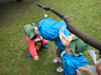 DSCN8472.JPG
