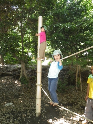 IMGP5232.JPG