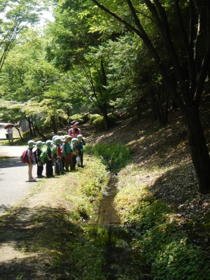 DSCN8508.JPG