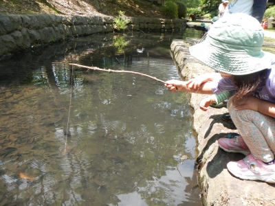 DSCN8510.JPG