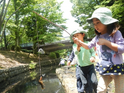 DSCN8513.JPG