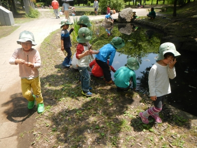 DSCN8515.JPG