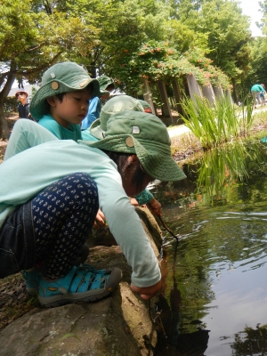 DSCN8519.JPG