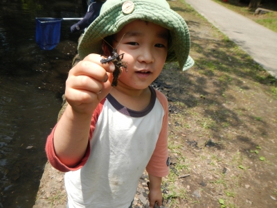 DSCN8526.JPG