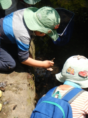 DSCN8530.JPG
