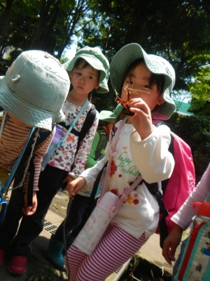 DSCN8533.JPG