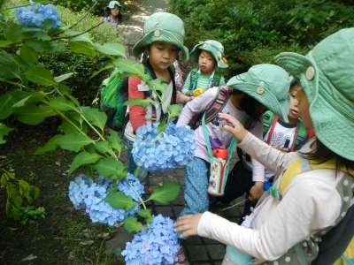 DSCN8537.JPG