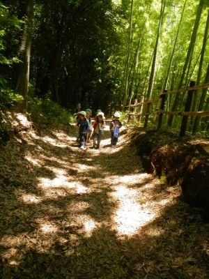 DSCN8548.JPG