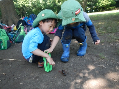 DSCN8570.JPG