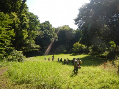 DSCN8601.JPG