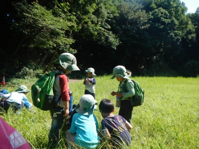 DSCN8596.JPG