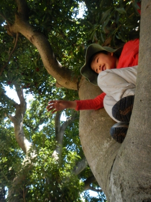 DSCN8588.JPG