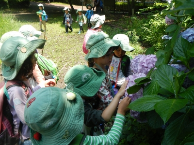 DSCN8540.JPG