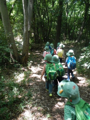 DSCN8542.JPG