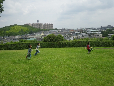 IMGP0601.JPG