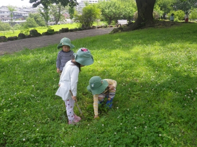 IMGP0603.JPG