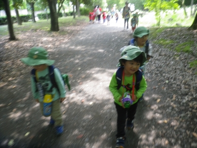 IMGP0643.JPG