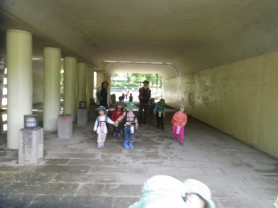 IMGP0646.JPG