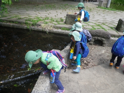 IMGP0650.JPG