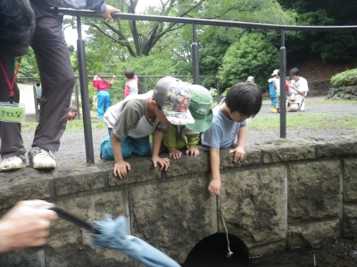IMGP0729.JPG
