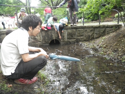 IMGP0731.JPG