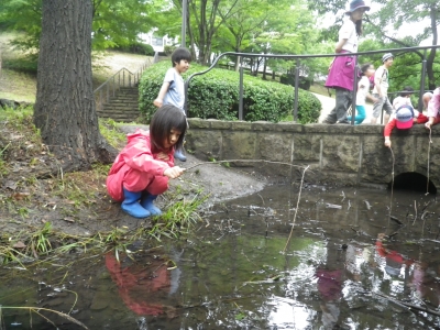 IMGP0735.JPG