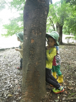 IMGP5348.JPG