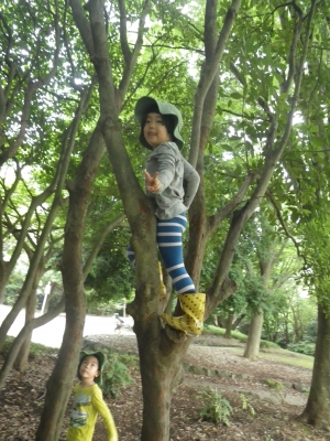 IMGP5355.JPG