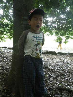 IMGP5357.JPG