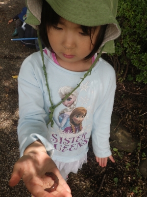 IMGP5392.JPG