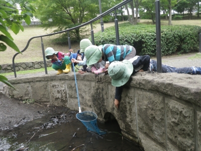 IMGP5411.JPG