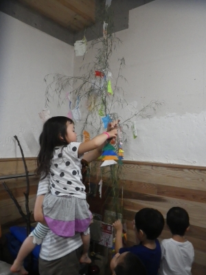IMGP0782.JPG