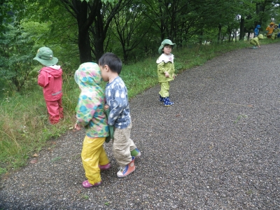IMGP0778.JPG