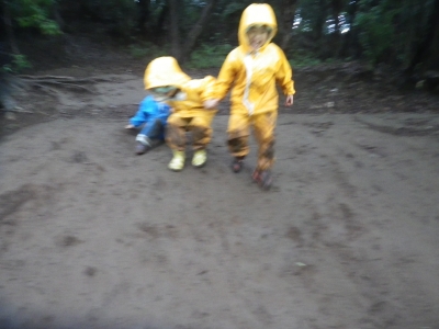 IMGP0806.JPG