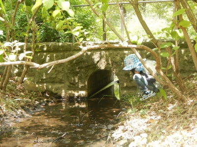 DSCN8695.JPG