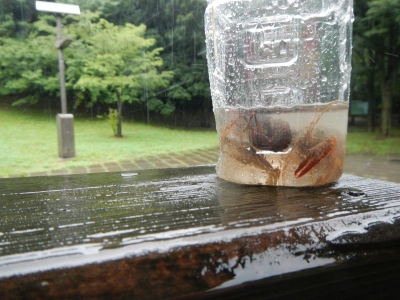 DSCN8752.JPG