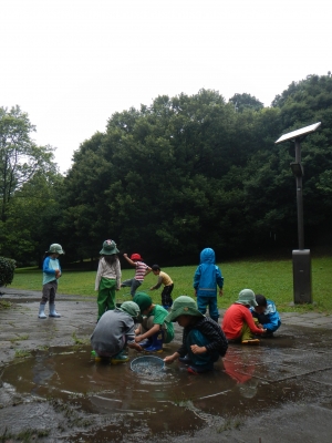 DSCN8760.JPG