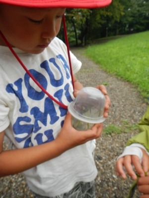 DSCN8795.JPG