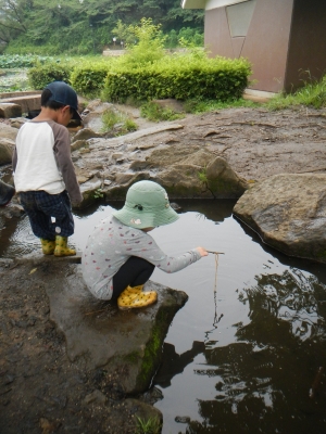 DSCN9046.JPG