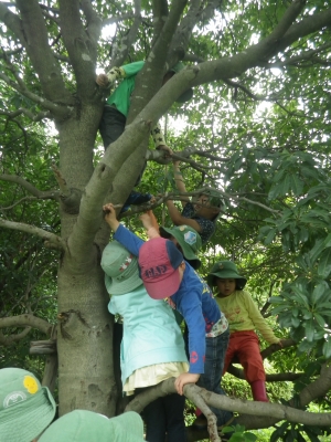 IMGP5556.JPG