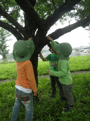 IMGP5567.JPG