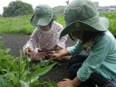 IMGP5572.JPG