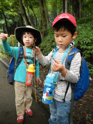 DSCN9027.JPG