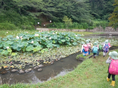 DSCN9033.JPG