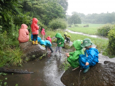 DSCN9060.JPG
