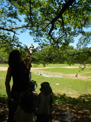 DSCN9275.JPG