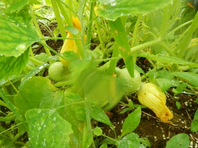 DSCN9318.JPG