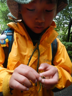 DSCN9335.JPG